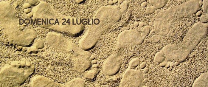 MINOLTA DIGITAL CAMERA